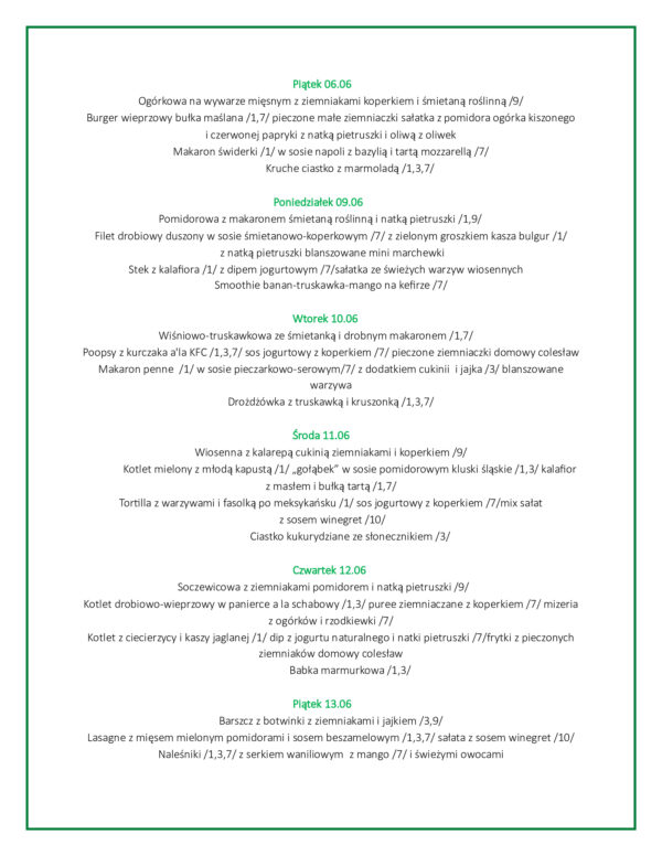 8. Obiad rodzinny  dwudaniowy  na 10 dni + 3  desery gratis ( na 3 osoby) - obrazek 3
